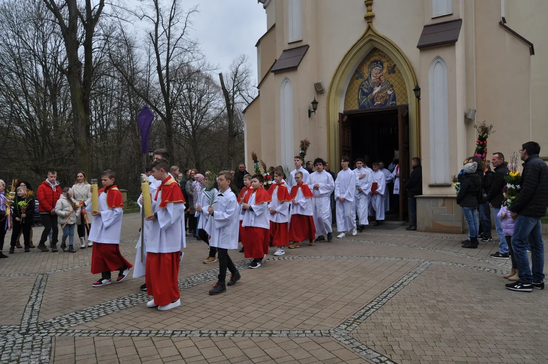 Parafianie w Przecławiu świętowali z pięknymi palmami własnego wykonania