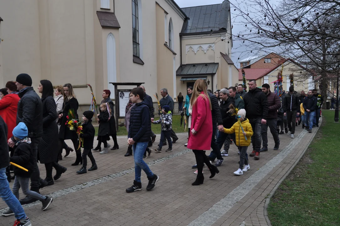 Parafianie w Przecławiu świętowali z pięknymi palmami własnego wykonania