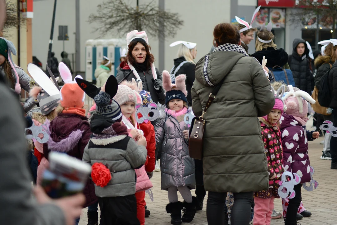 Rekord Polski dla Bartoszka Jędrasika chorego na SMA. W Tarnobrzegu zgromadziło się ponad 500 osób przebranych za króliki