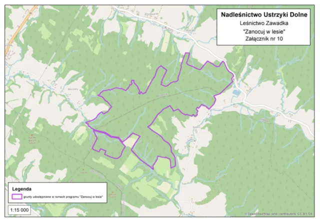 Zanocuj w lesie - mapki