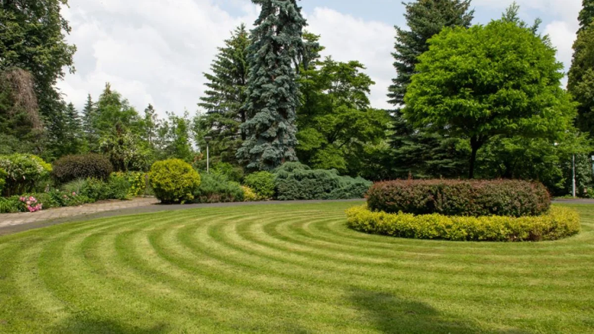 Park na osiedlu Miłocin