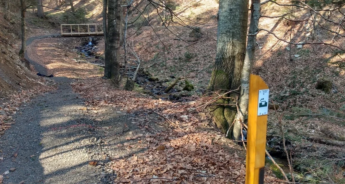 „Singletrack pod Honem” to wymagająca ścieżka rowerowa niedaleko Cisnej. Do odwołania będzie ona zamknięta - Zdjęcie główne