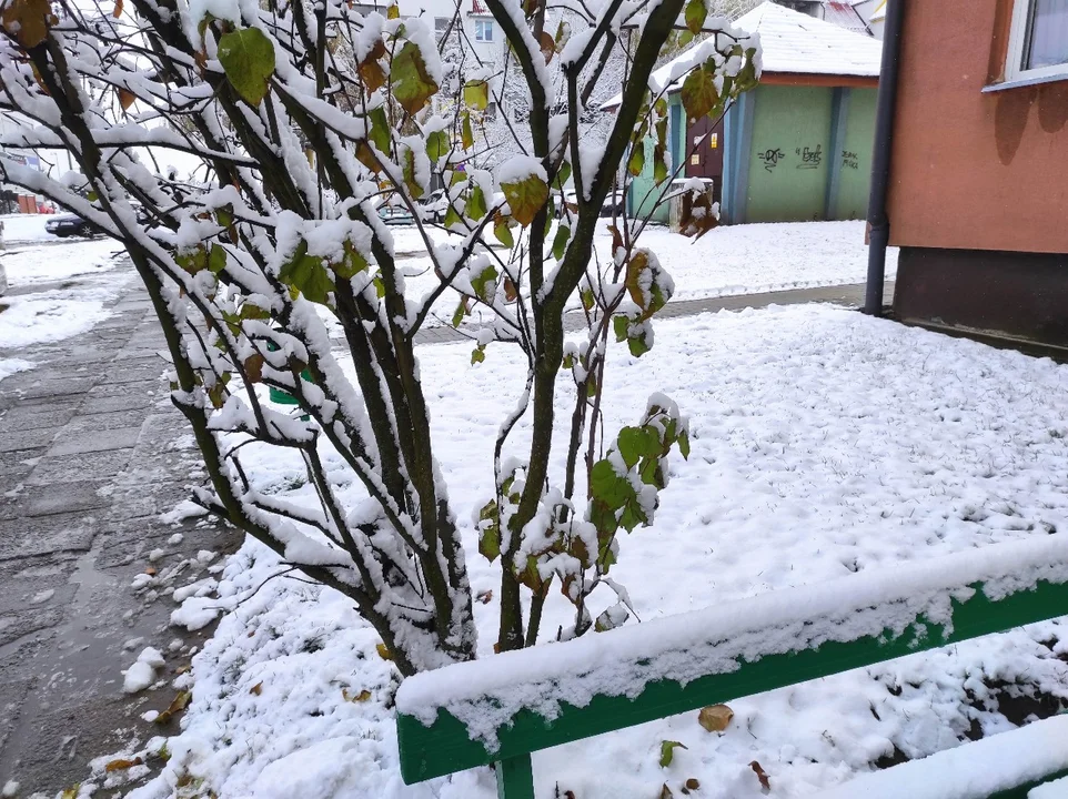 Tarnobrzeg i Stalowa Wola po opadach śniegu