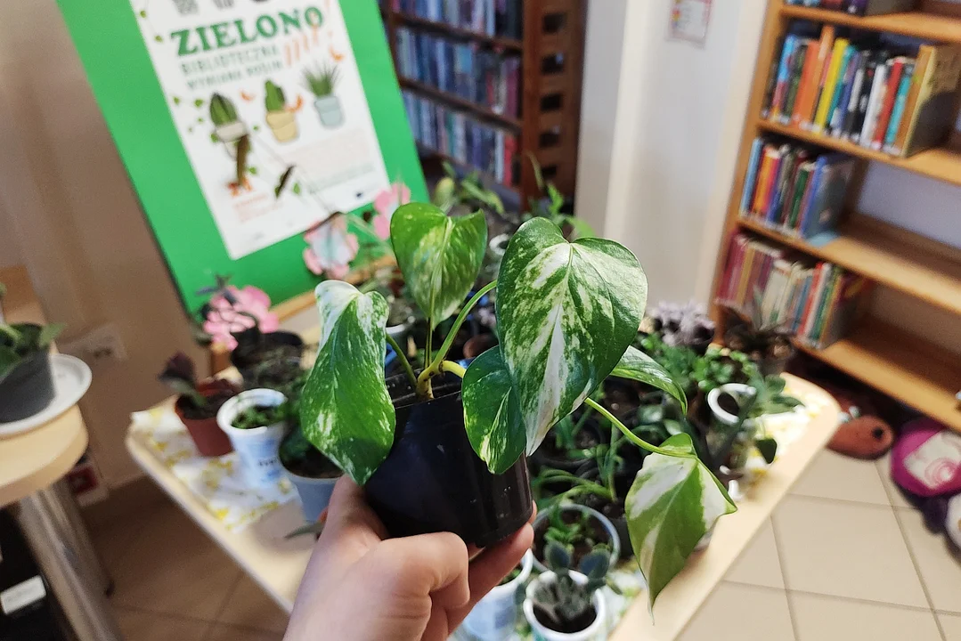 Biblioteczna Wymiana Roślin "Zielono Mi!" w Rzeszowie