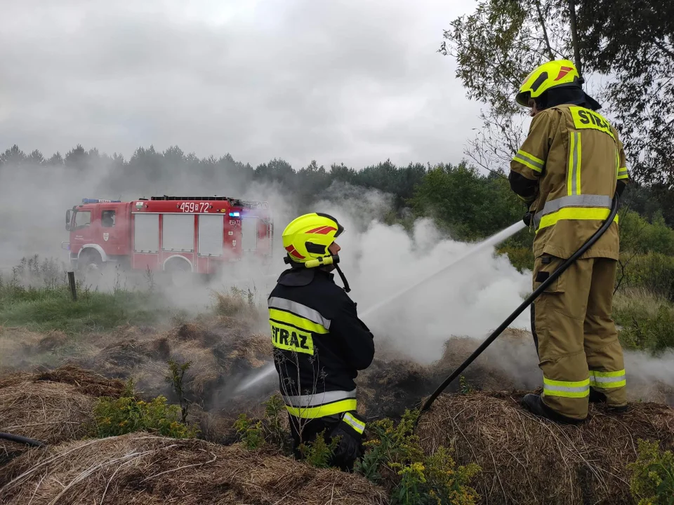 Interwencja strażaków w Majdanie Królewskim. Paliły się baloty słomy [ZDJĘCIA] - Zdjęcie główne