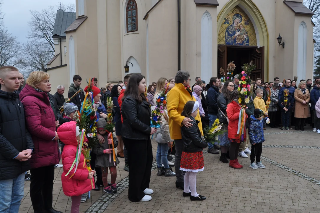 Parafianie w Przecławiu świętowali z pięknymi palmami własnego wykonania