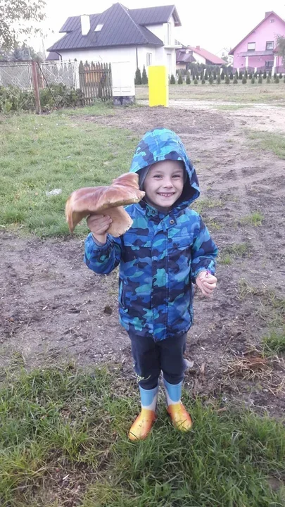 Zdjęcia naszych czytelników. Swoje okazy znaleźli w podkarpackich lasach