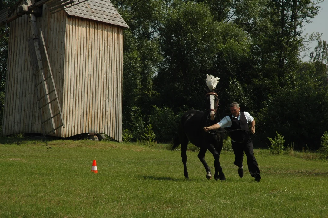 Koń, jaki jest.. - skansen w Kolbuszowej 2011