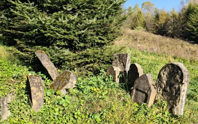Cmentarz żydowski w Lutowiskach