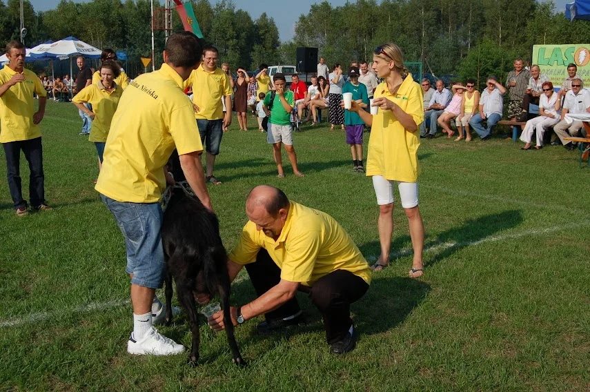 Sołeckie polo, wyścig z najmłodszym i powożenie żywym wozem - takie atrakcje podczas Letniego Turnieju Sołectw w Niwiskach [ZDJĘCIA PLAKAT] - Zdjęcie główne