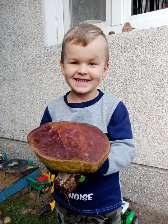 Zdjęcia naszych czytelników. Swoje okazy znaleźli w podkarpackich lasach