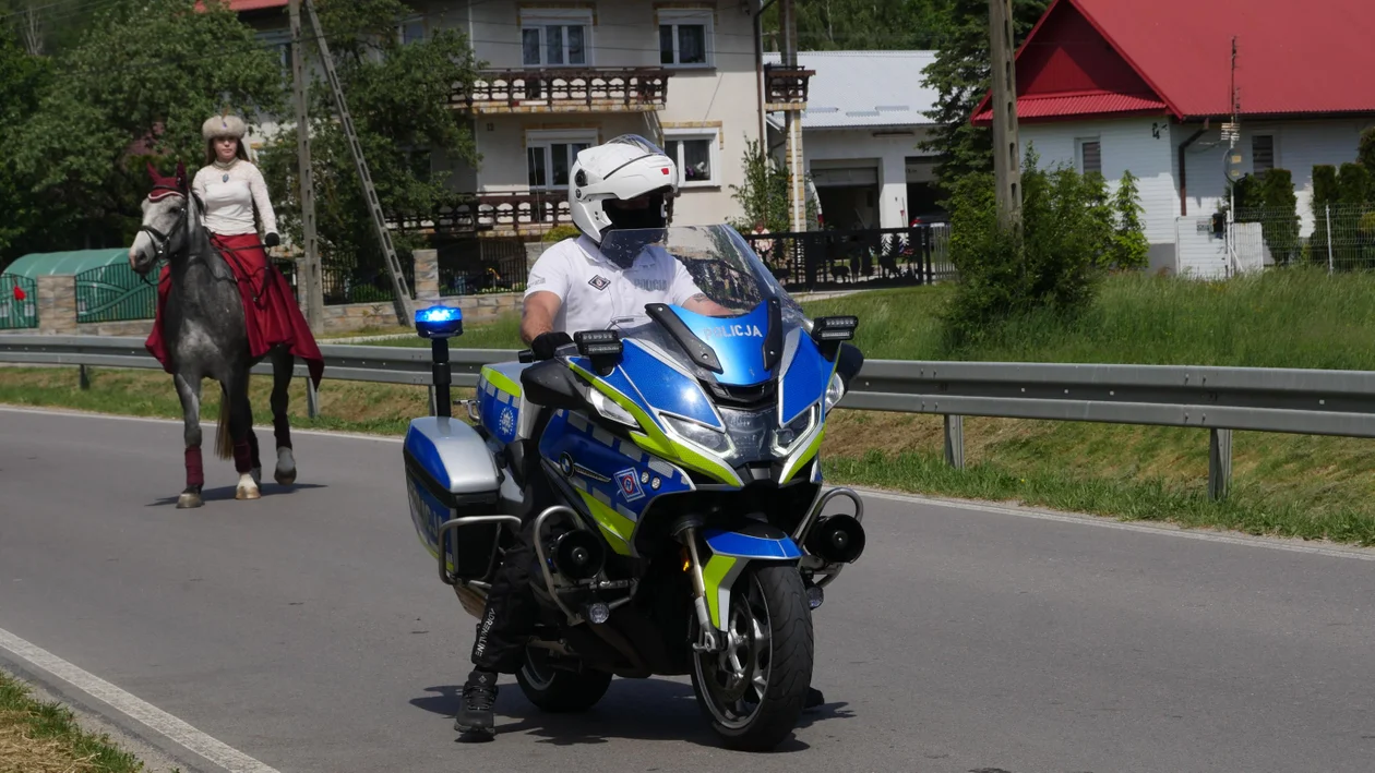Parada Konna w Żarówce