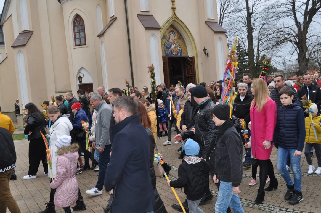 Parafianie w Przecławiu świętowali z pięknymi palmami własnego wykonania