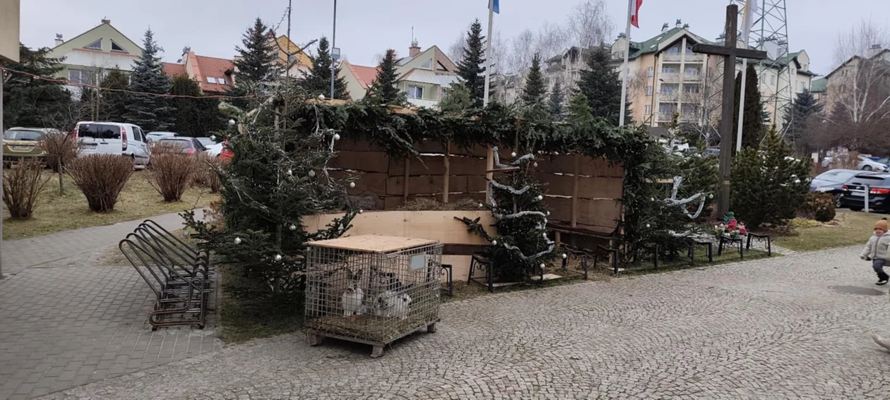 Żywa szopka bożonarodzeniowa Rzeszów