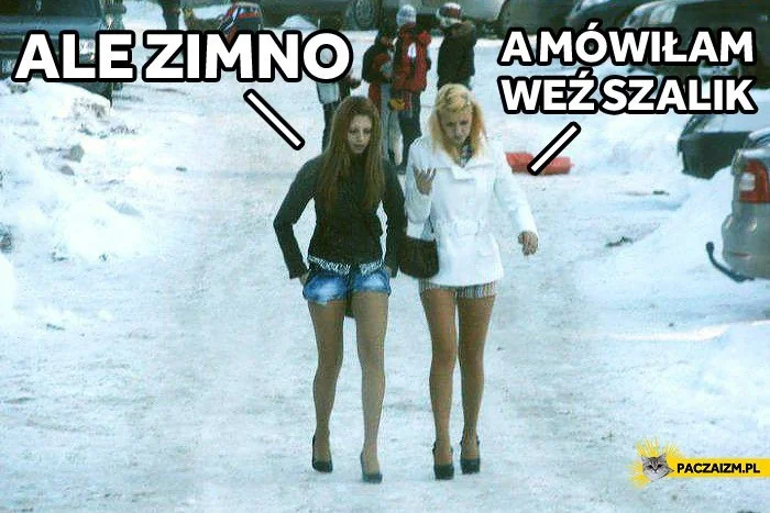 Memy na zimę