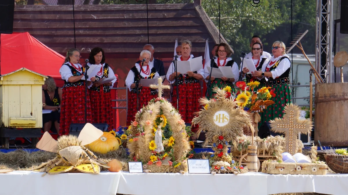 Tradycja, wspólnota i obchody plonów. Dożynki Gminy Solina w Bóbrce [ZDJĘCIA] - Zdjęcie główne