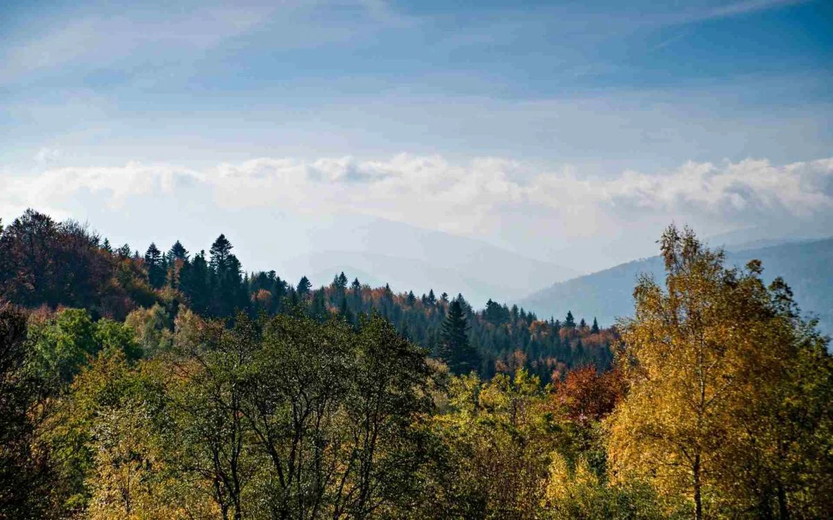 Jesienne Bieszczady