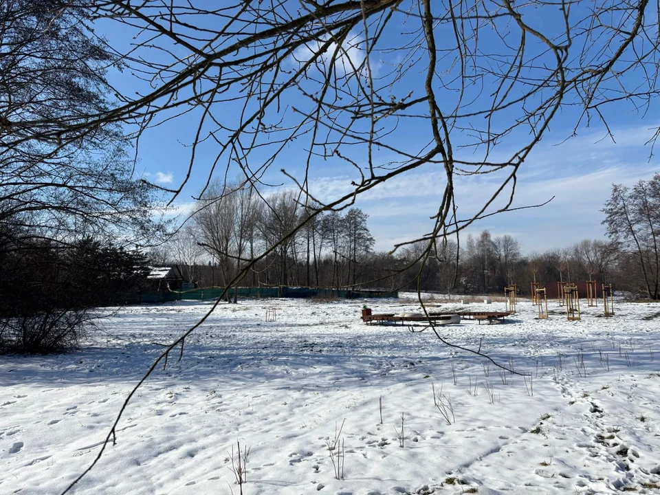 Dzikie tereny na Baranówce w Rzeszowie