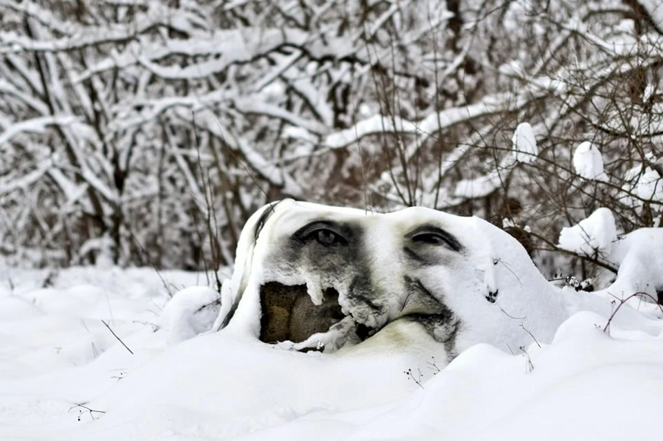 Obrazy malowane na śniegu Arkadiusza Andrejkowa
