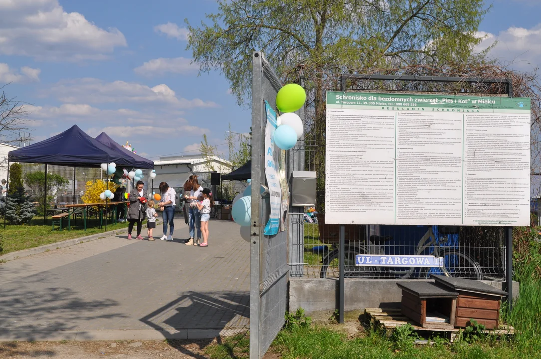 Szczęśliwy dzień dla psiaków, spacery i wyjście z klatek