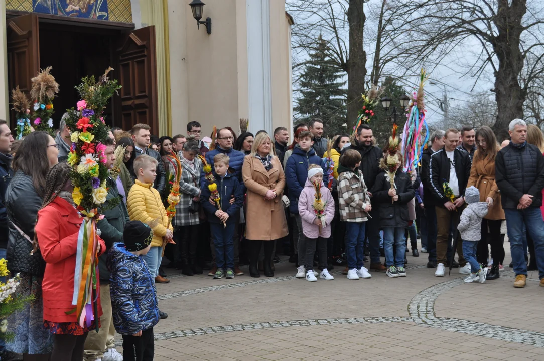 Parafianie w Przecławiu świętowali z pięknymi palmami własnego wykonania