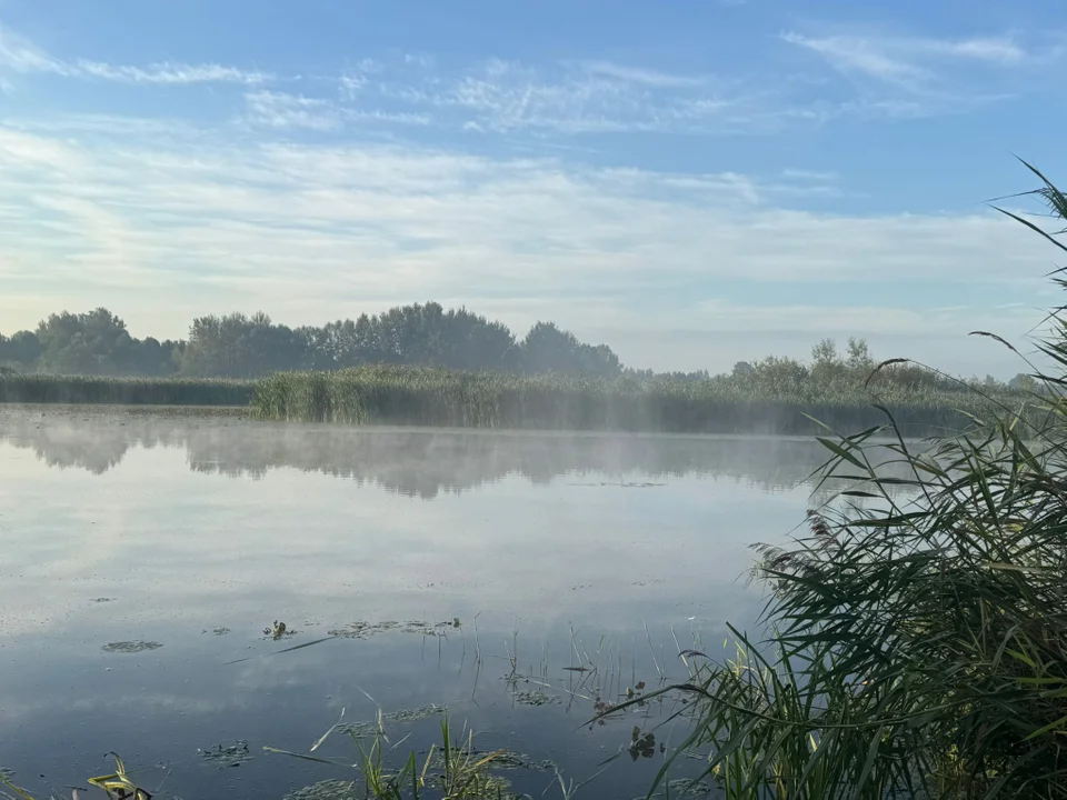 Poranek nad Wisłokiem