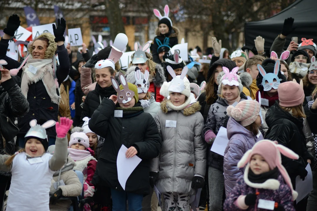 Rekord Polski dla Bartoszka Jędrasika chorego na SMA. W Tarnobrzegu zgromadziło się ponad 500 osób przebranych za króliki