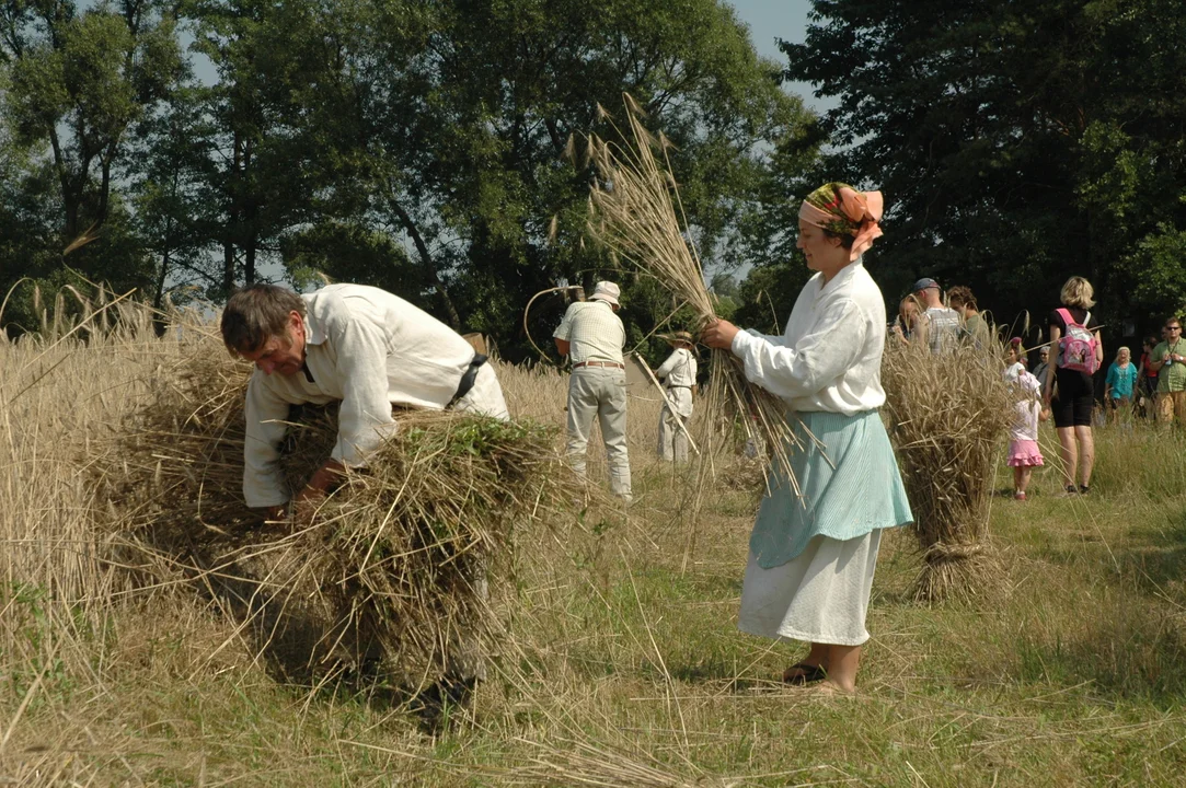 Koń, jaki jest.. - skansen w Kolbuszowej 2011