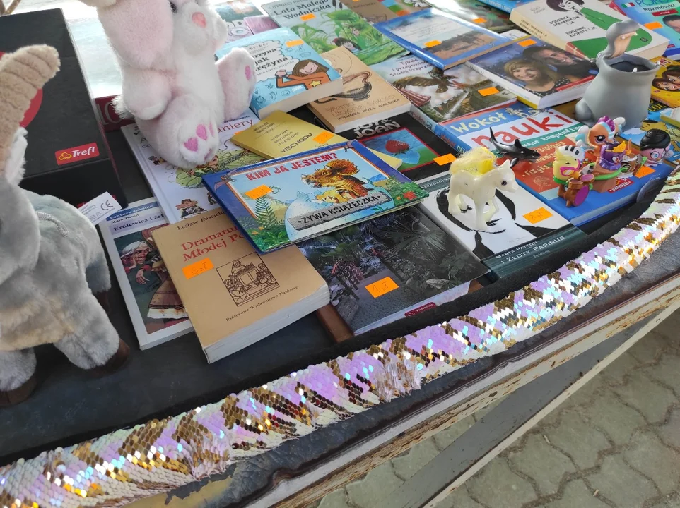 Tarnobrzeski Pchli Targ. Co można kupić?
