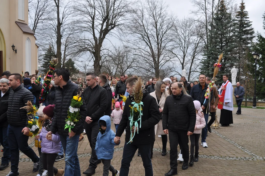 Parafianie w Przecławiu świętowali z pięknymi palmami własnego wykonania