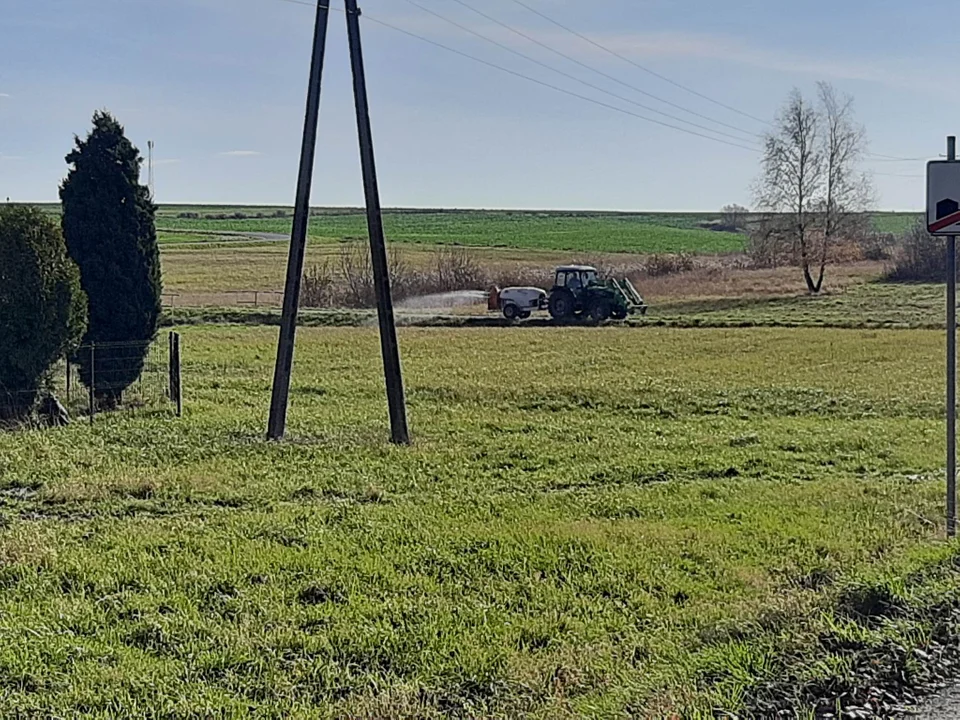 Poszukiwania dzików przez wojsko w powiecie kolbuszowskim