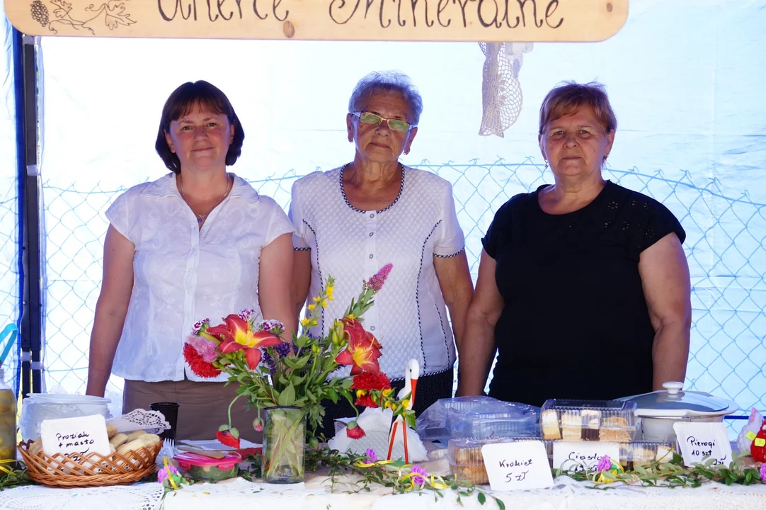 Piknik rodzinny w Olszanicy. Dobra zabawa, zajęcia dla najmłodszych, stoiska edukacyjne i wiele innych atrakcji [ZDJĘCIA] - Zdjęcie główne