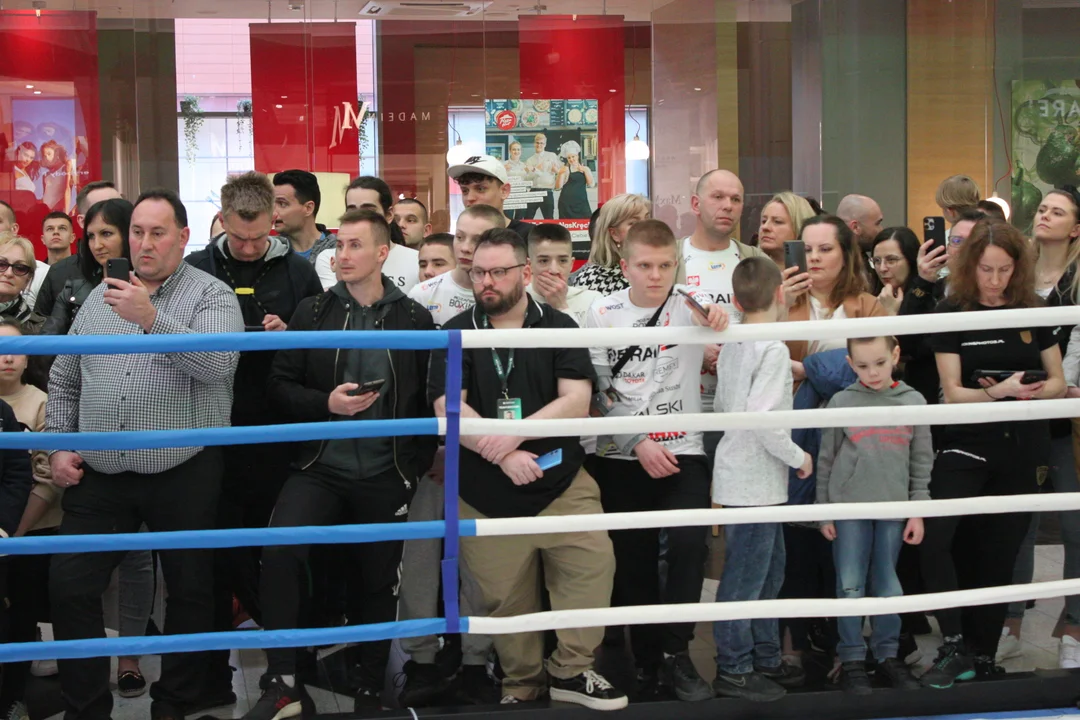 Media trening bohaterów gali w Rzeszowie. Różański i Babić na mocnych tarczach