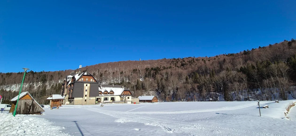 Muczne w zimowej scenerii