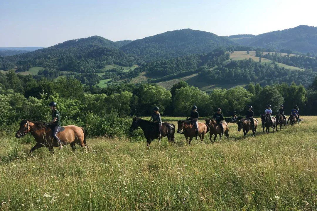 Konie huculskie ze stadniny Tabun