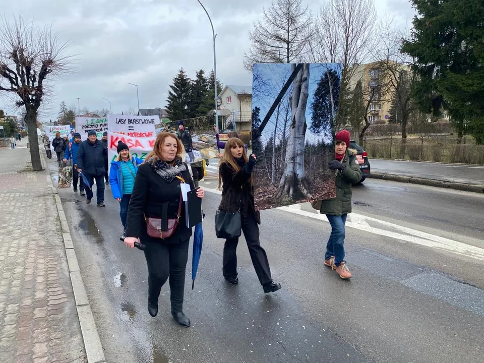 Obrońcy przyrody z Podkarpacia protestują. W lasach między Rymanowem-Zdrój a Iwoniczem-Zdrój trwa "rzeź" drzew [ZDJĘCIA] - Zdjęcie główne