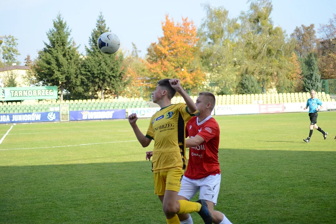 Centralna Liga Juniorów U-15: Siarka Tarnobrzeg - Wisła Kraków 0:2