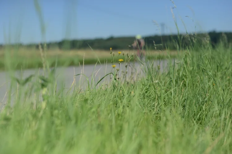 III Triathlon im. Aleksandra Ładosia w Głogowie Małopolskim