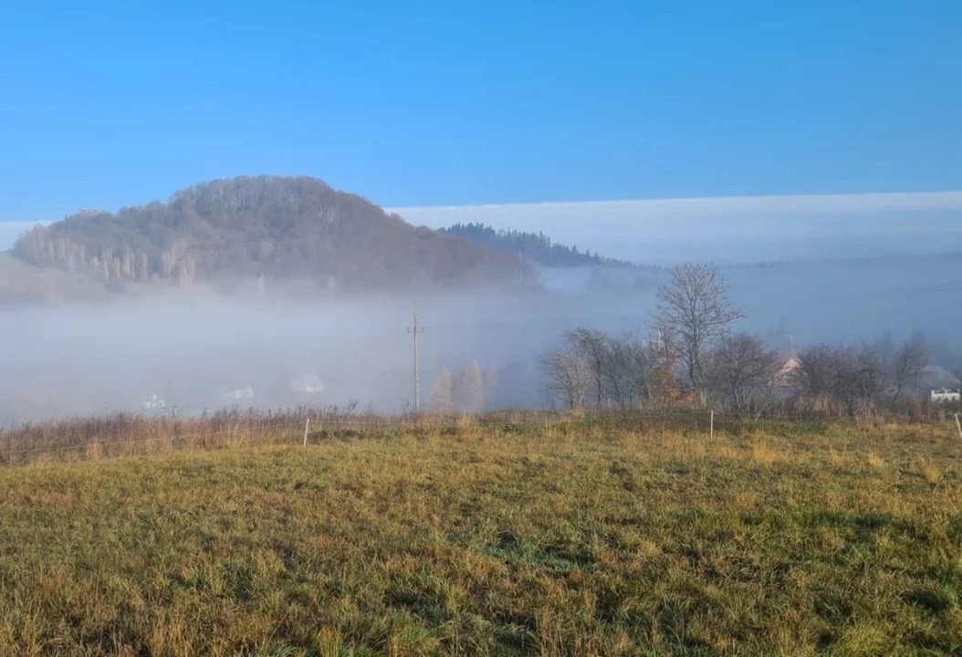 Terka późną jesienią