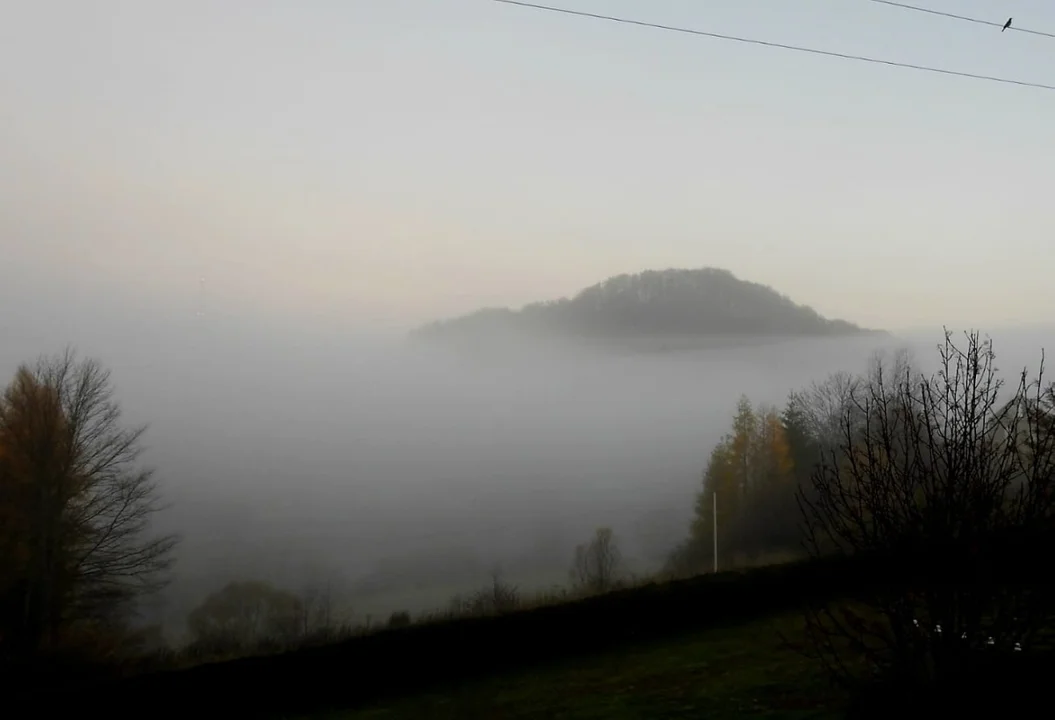 Terka późną jesienią