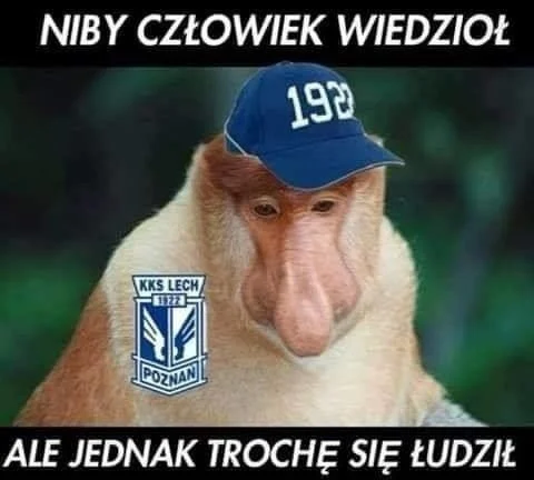 Memy po porażce Lecha Poznań z Vikingur Reykjavik