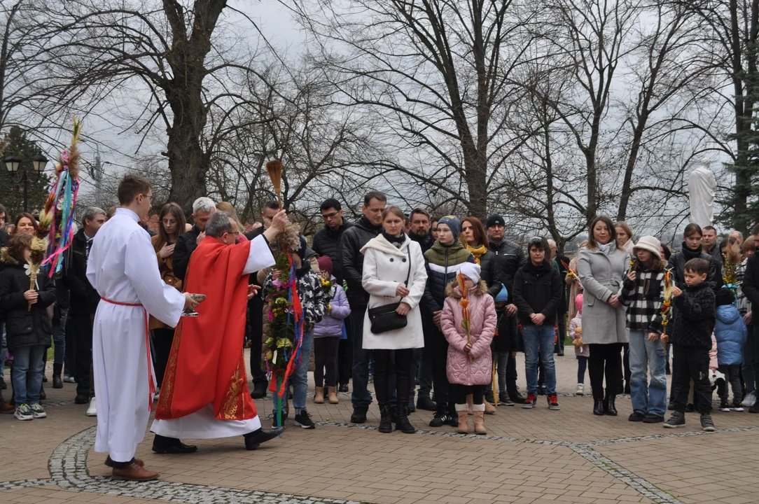 Parafianie w Przecławiu świętowali z pięknymi palmami własnego wykonania