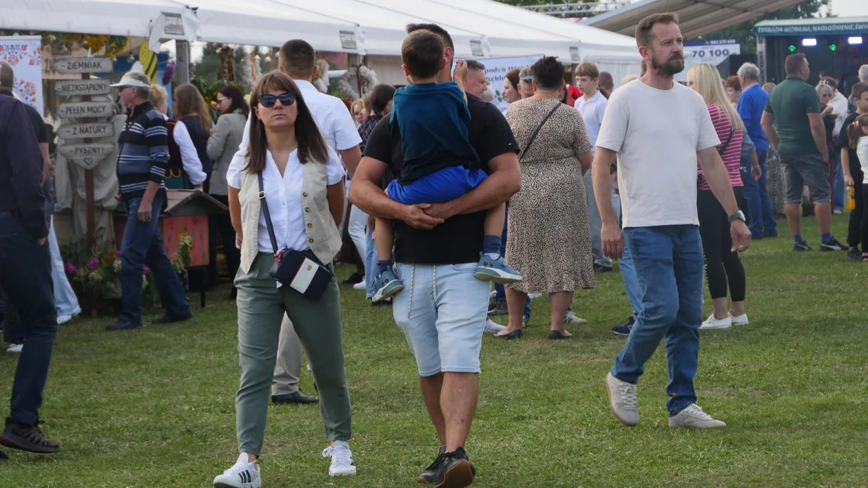 Dzień Ziemniaka w Padwi Narodowej