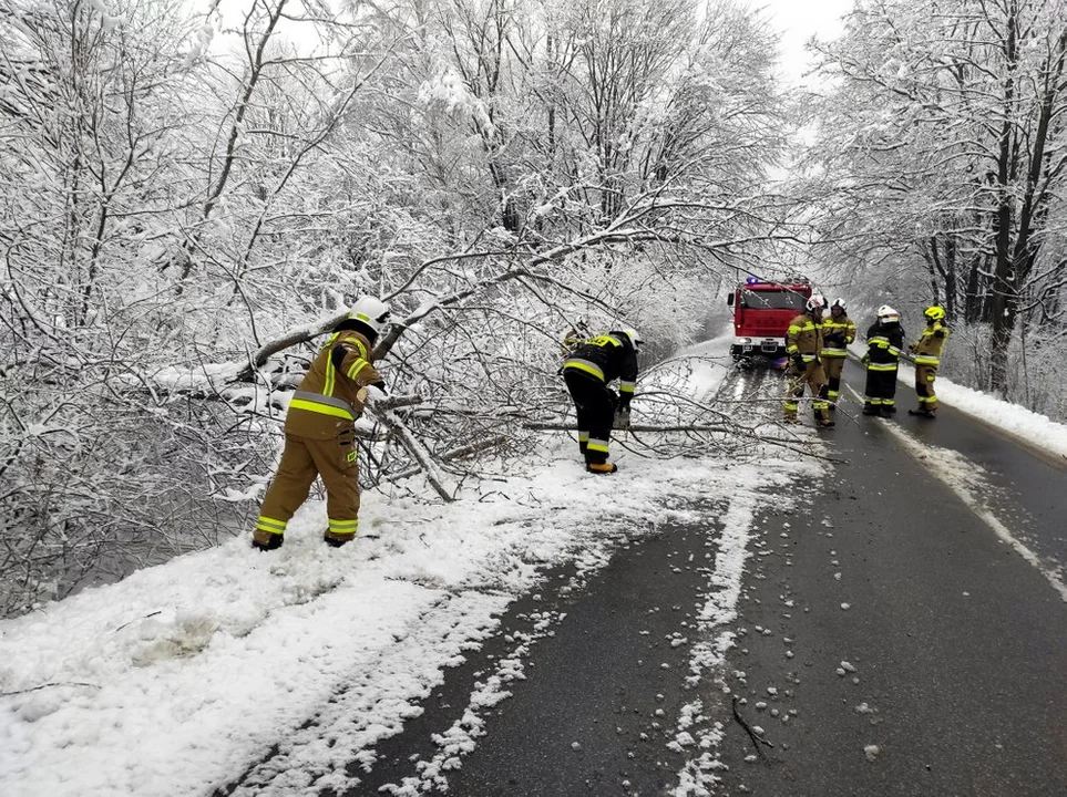 Trudne dni za strażakami z Podkarpacia. Silny wiatr, ciężki śnieg i mnóstwo szkód [ZDJĘCIA]