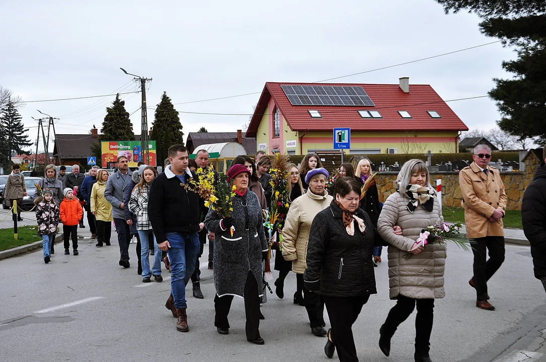 Niedziela Palmowa w Gawłuszowicach