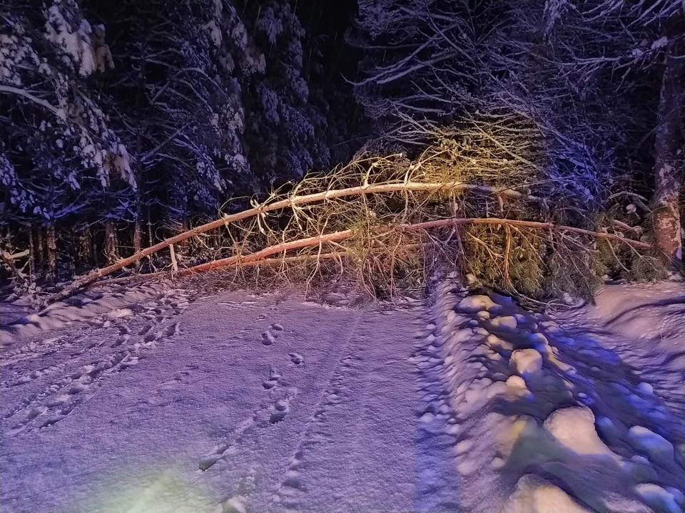 Strażacy usuwają skutki silnych opadów śniegu w powiecie kolbuszowskim - 13 grudnia