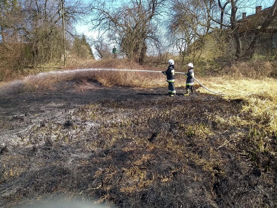 Pożar traw w gminie Przecław! [FOTO] - Zdjęcie główne