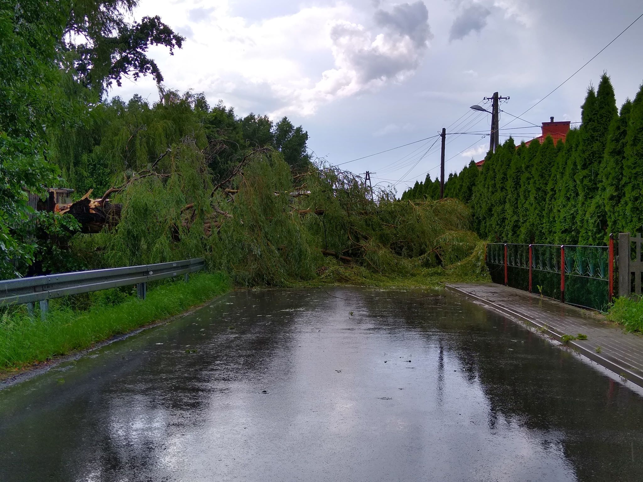 Zalana ulica i powalone drzewo. Padew Narodowa po nawałnicy - Zdjęcie główne