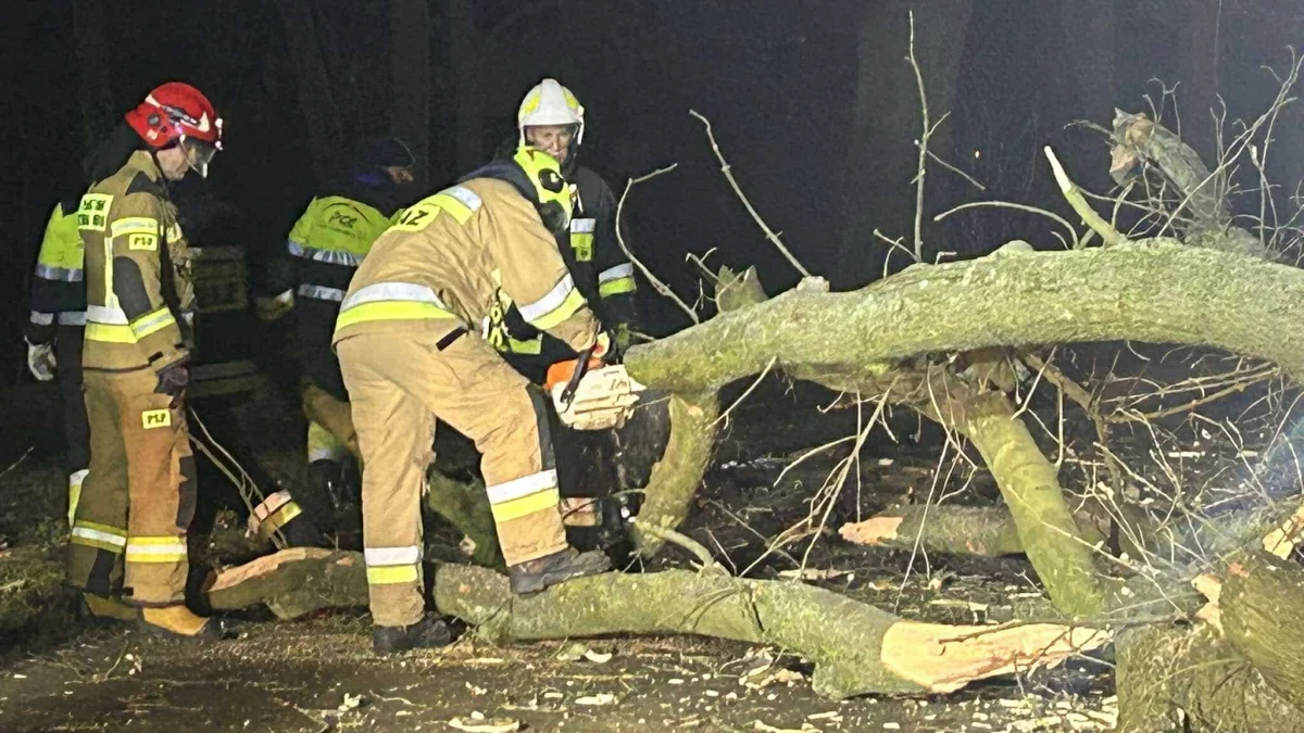 Skutki wczorajszej wichury w powiecie mieleckim. Zerwany dach i powalone drzewa - Zdjęcie główne