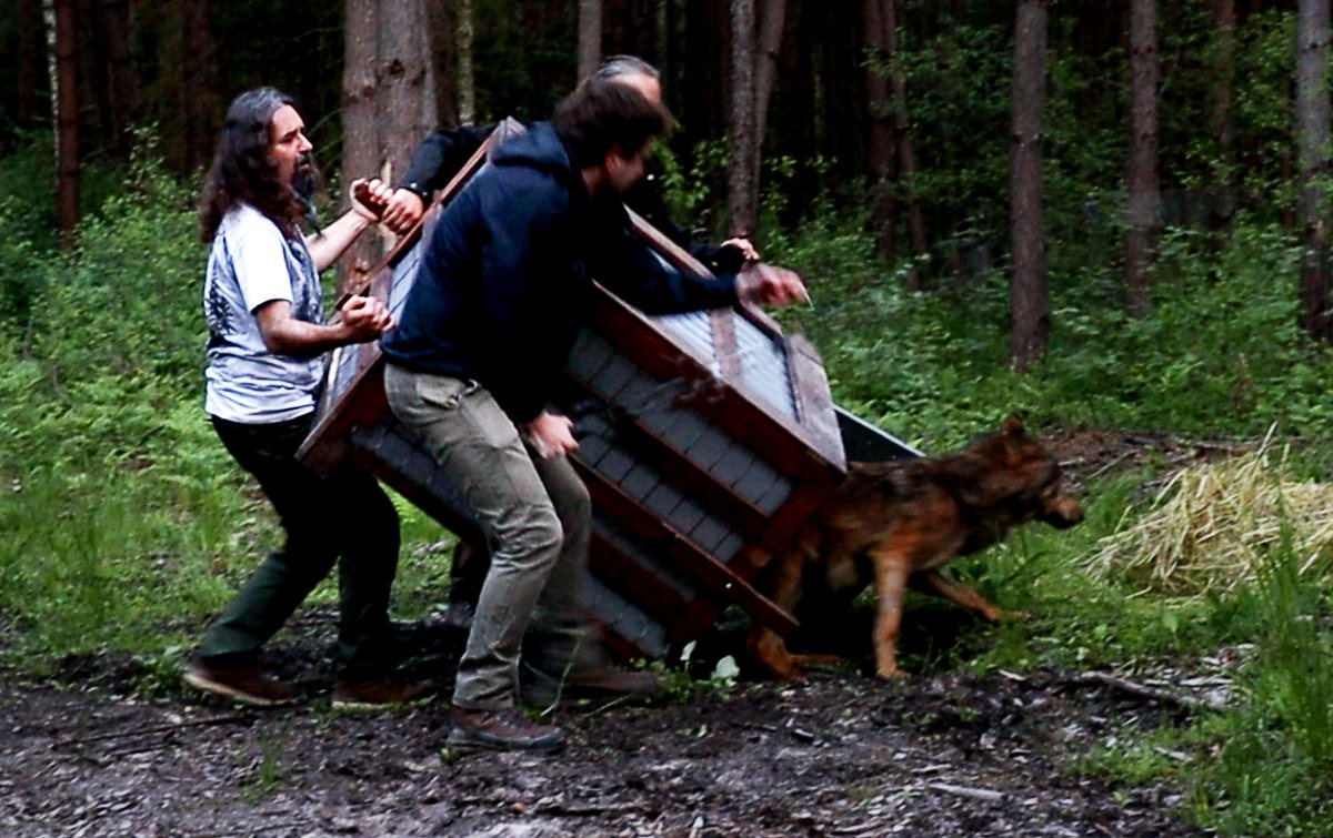 Wolfik został uratowany.